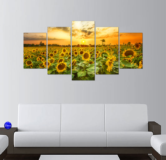 Sunflower Field at Sunset With Golden Sky and Bright Yellow Blooms