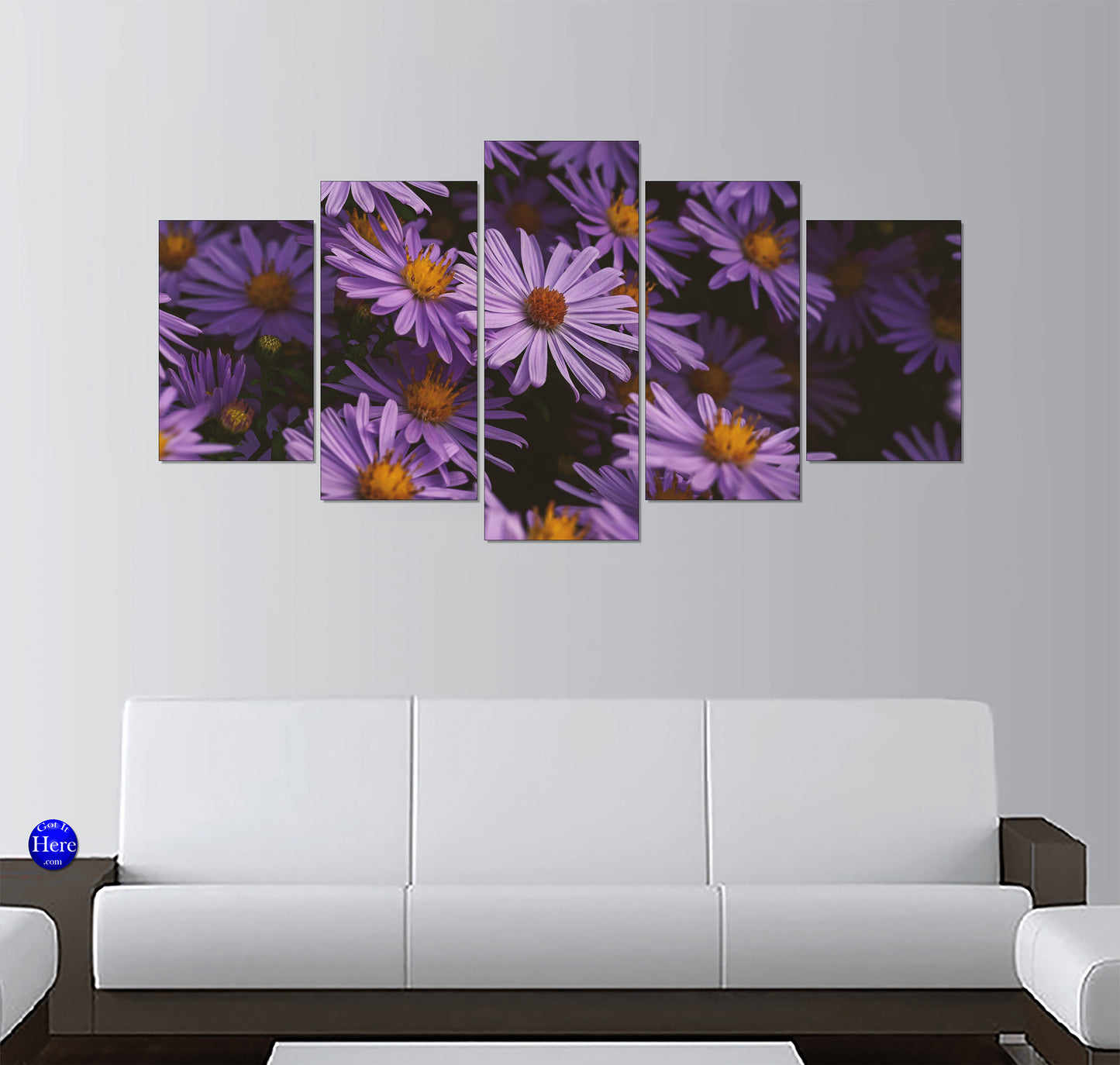 Purple Aster Flowers With Golden Centers in Late Summer Bloom