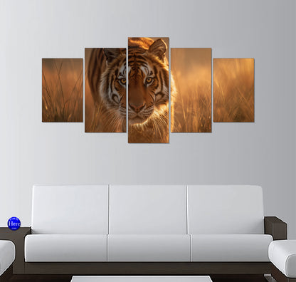 Bengal Tiger Stalking Through Tall Grass at Sunset