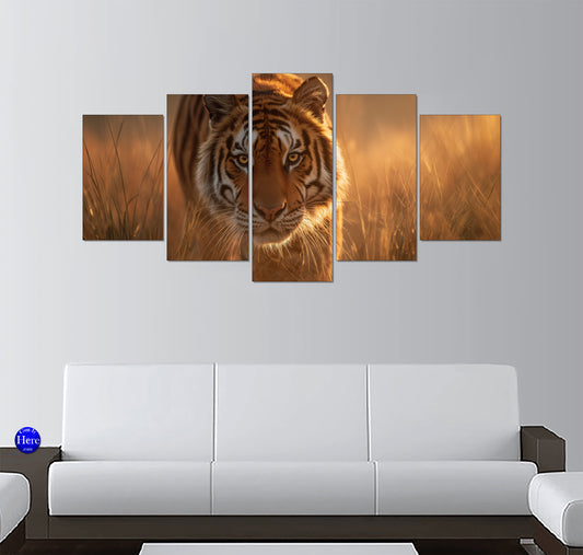 Backlit Bengal Tiger Close-Up in Golden Grass