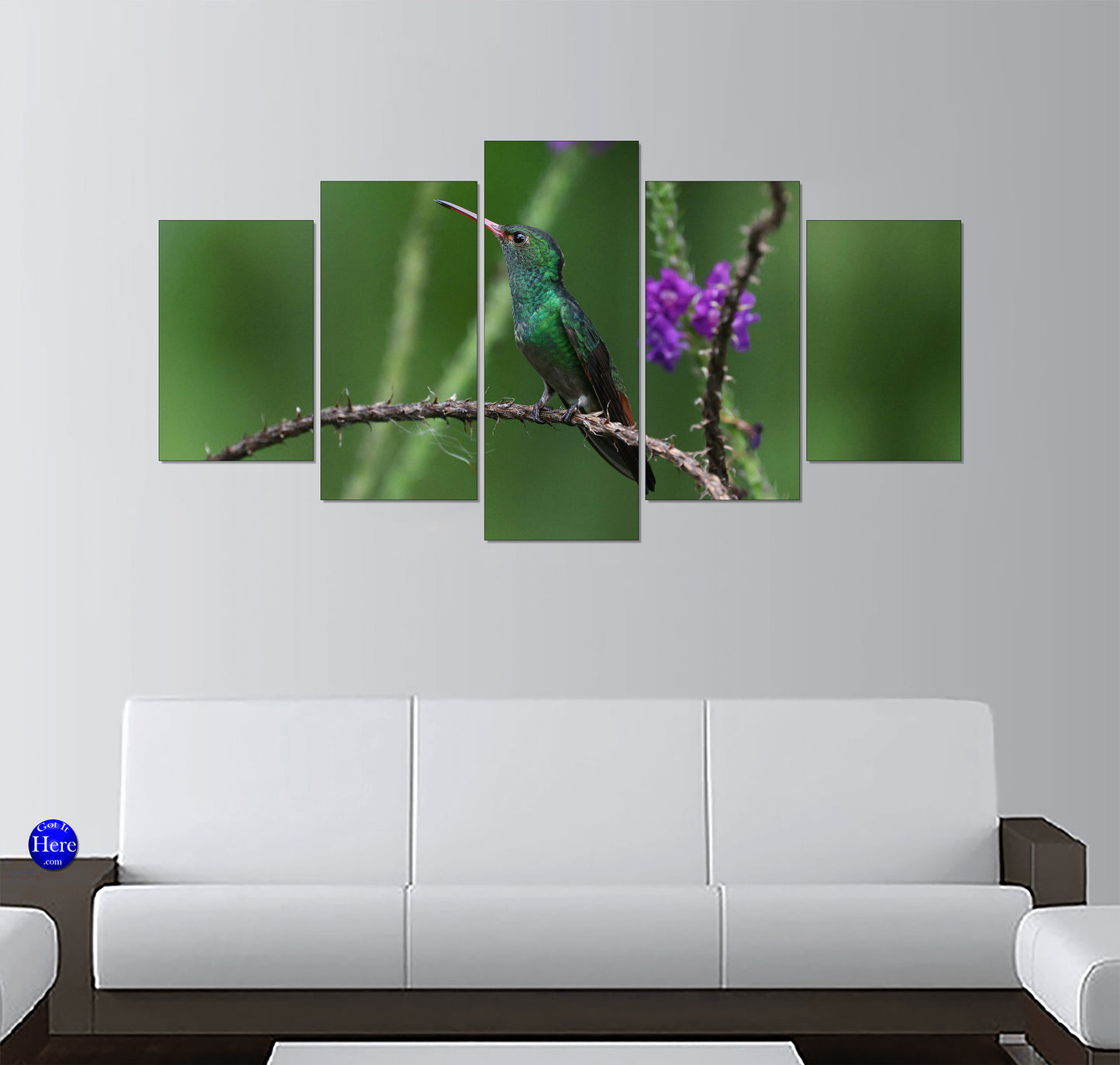 Rufous-Tailed Hummingbird on a Thorny Branch With Purple Flowers