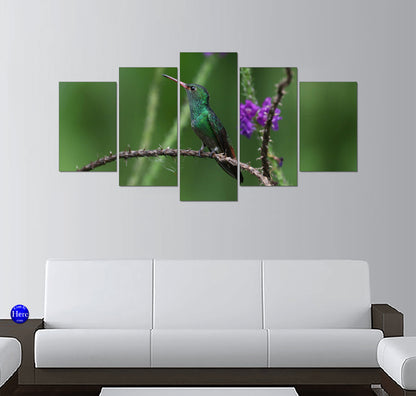 Rufous-Tailed Hummingbird on a Thorny Branch With Purple Flowers