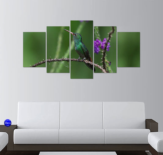 Rufous-Tailed Hummingbird on a Thorny Branch With Purple Flowers