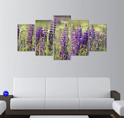 Purple Lupine Wildflowers in a Green Meadow