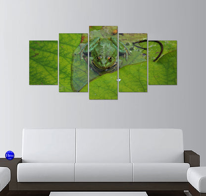 Green Pond Frog on Lily Pads With Water Droplets