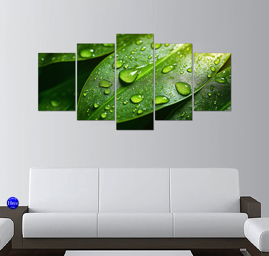 Water Droplets on Tropical Green Leaves
