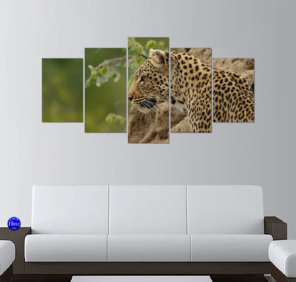 African Leopard Portrait in Profile on a Rocky Outcrop