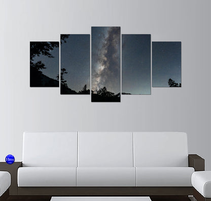 Milky Way Galaxy Core Above a Silhouetted Pine Forest