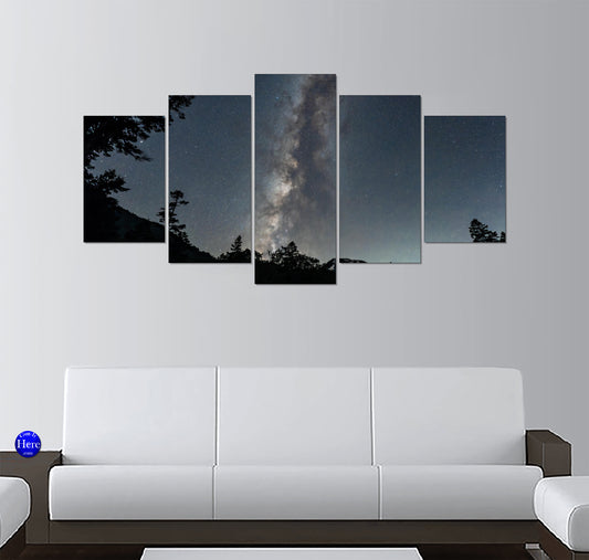 Milky Way Galaxy Core Above a Silhouetted Pine Forest