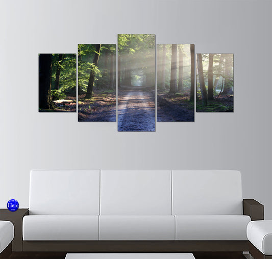 Morning Sunbeams Along a Misty Woodland Trail