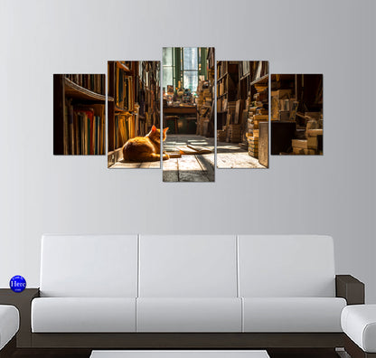 Orange Tabby Cat Resting in a Sunlit Vintage Bookstore Aisle