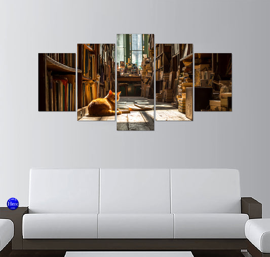 Orange Tabby Cat Resting in a Sunlit Vintage Bookstore Aisle