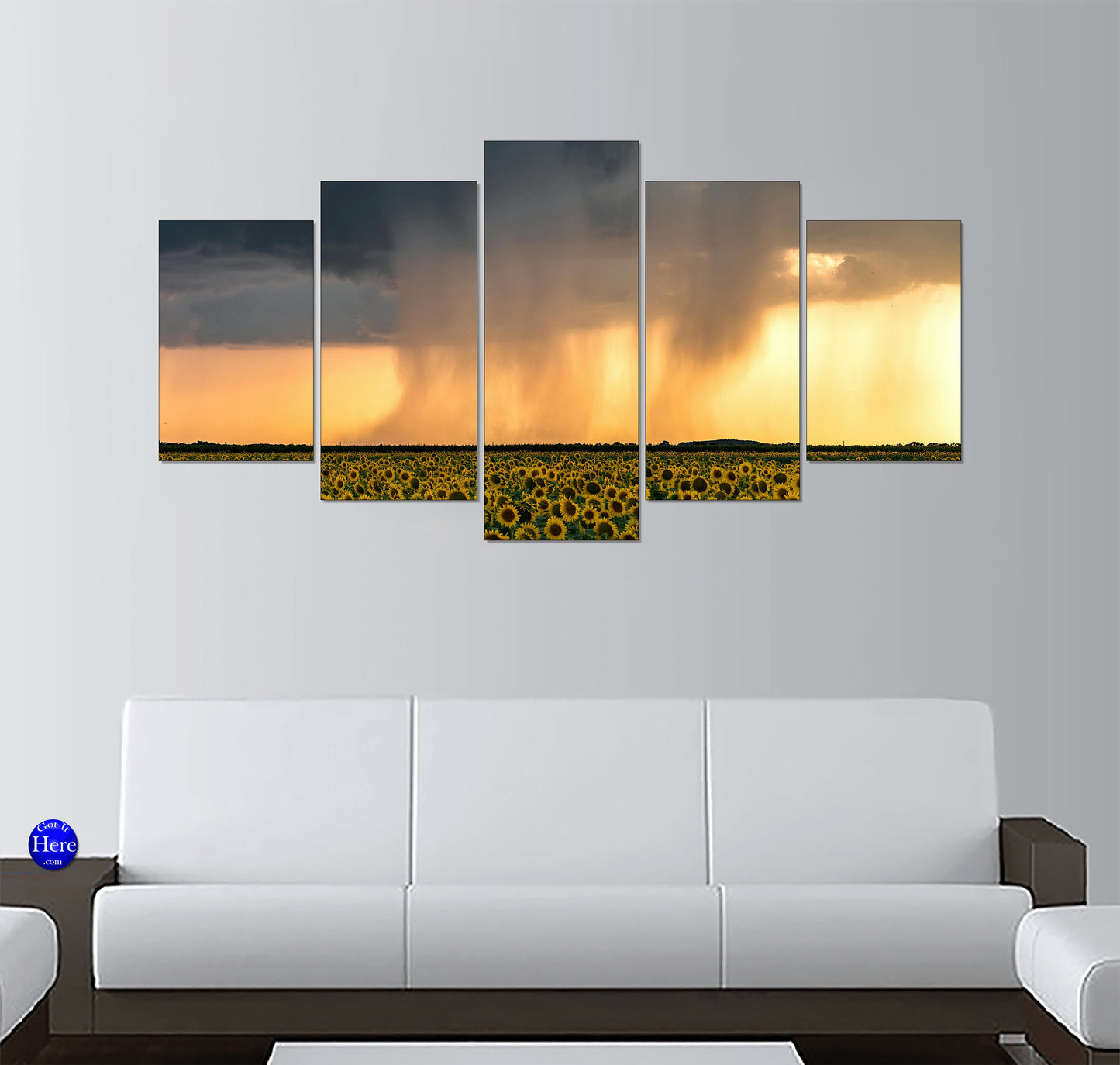 Rainstorm Over a Sunflower Field at Golden Sunset