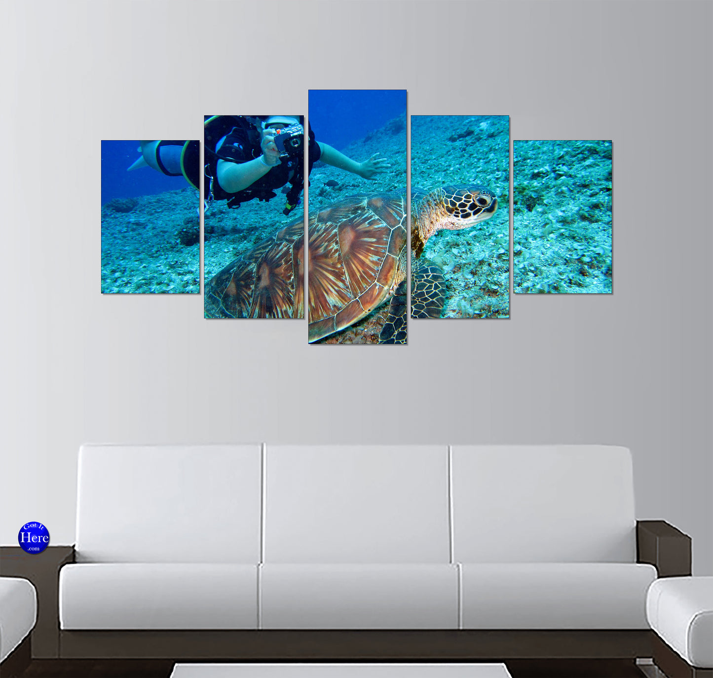 Green Sea Turtle and Scuba Diver in Clear Blue Ocean