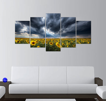 Sunbeams Breaking Through Storm Clouds Over a Sunflower Field