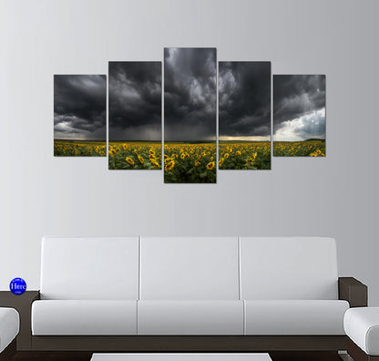 Storm Clouds Rolling Over a Bright Sunflower Field