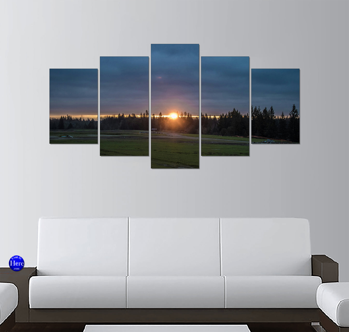 Sunrise Over a Green Meadow and Pine Trees