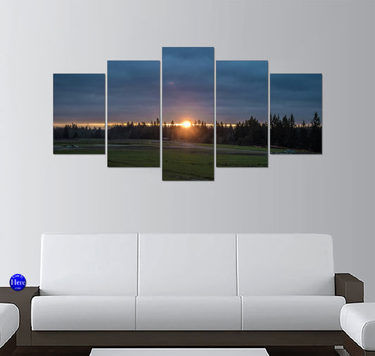 Sunrise Over a Green Meadow and Pine Trees