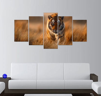Bengal Tiger Prowling Through Golden Grasslands