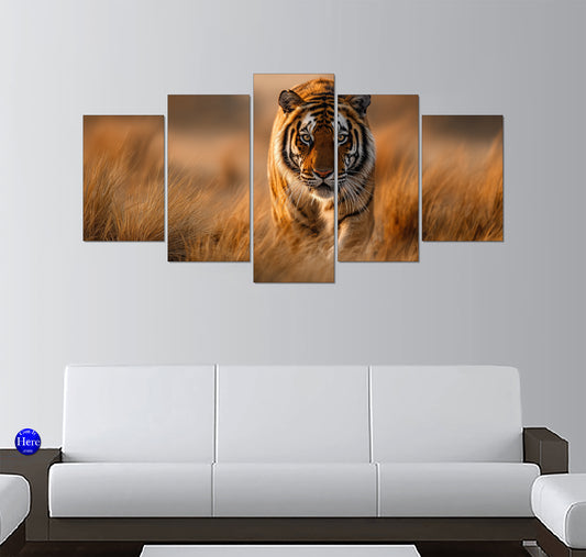 Bengal Tiger Prowling Through Golden Grasslands
