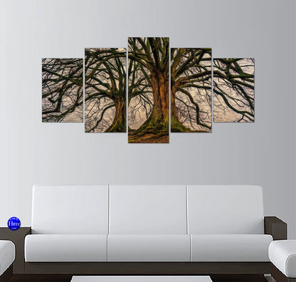 Twisting Ancient Trees with Gnarled Branches Against a Pale Sky