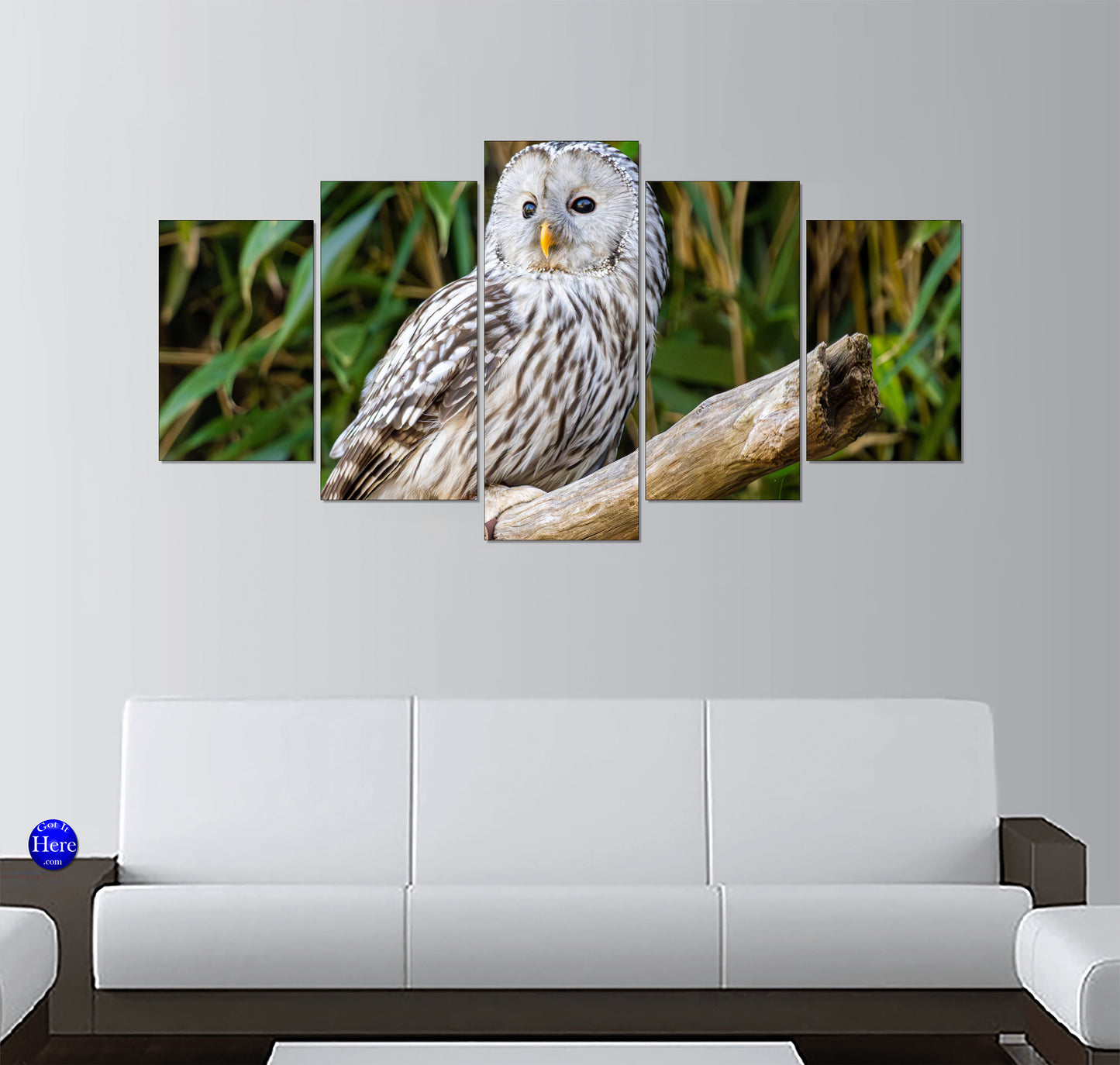 Ural Owl Perched on a Weathered Branch in Forest Foliage