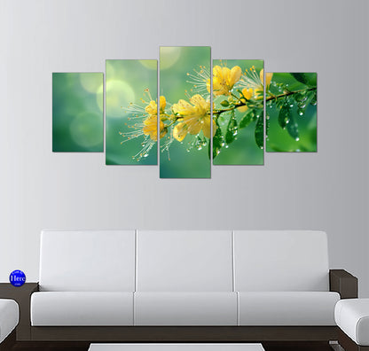 Morning Dew on Yellow Wildflower Blossoms With Soft Green Bokeh