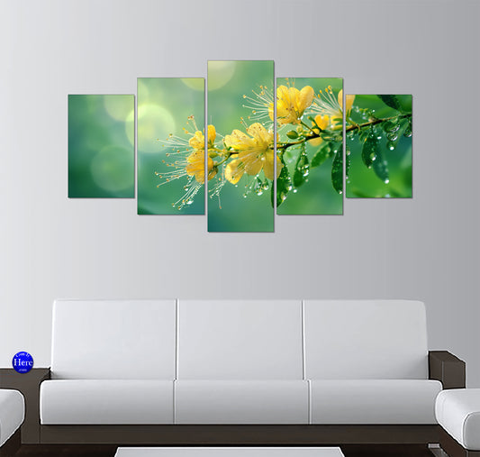 Morning Dew on Yellow Wildflower Blossoms With Soft Green Bokeh