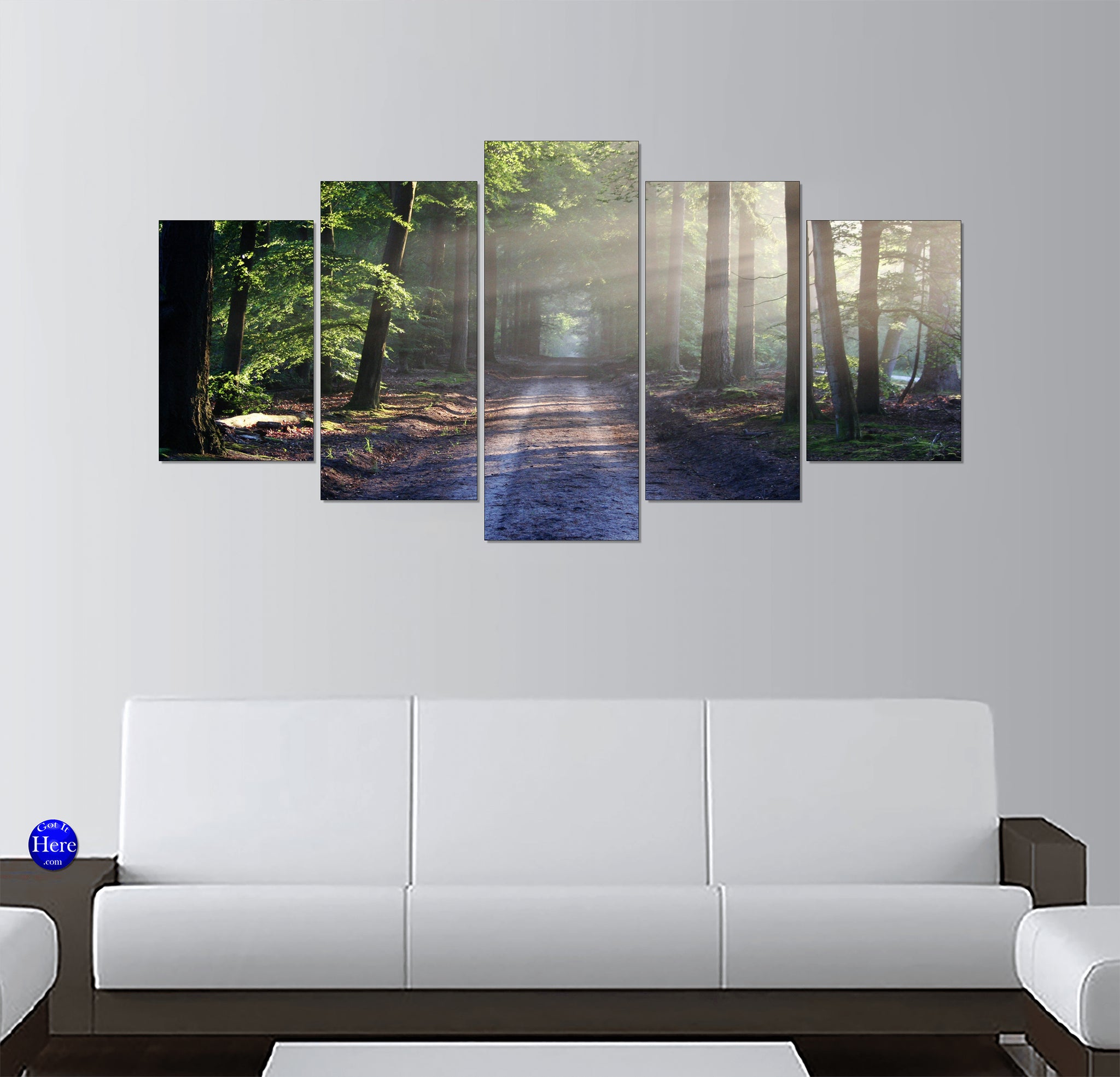 Misty Forest Path with Morning Sunbeams Through Green Trees