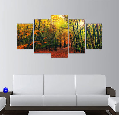 Autumn Forest Pathway Glow 5 Panel Canvas Print Wall Art