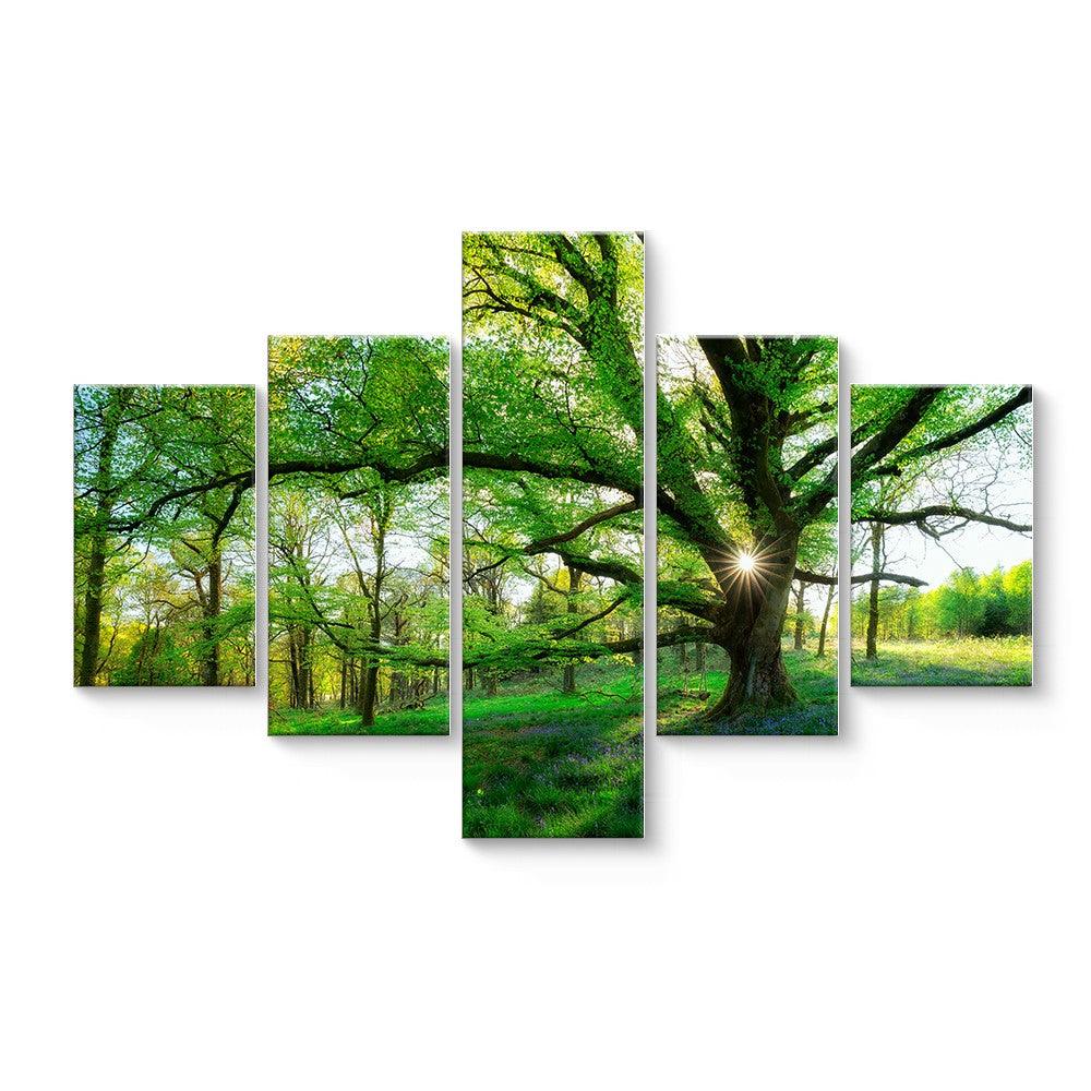 Sunrise In Forest Of Green 5 Panel Canvas Print Wall Art - GotItHere.com