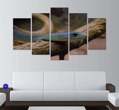 Black Mamba On Branch 5 Panel Canvas Print Wall Art - GotItHere.com