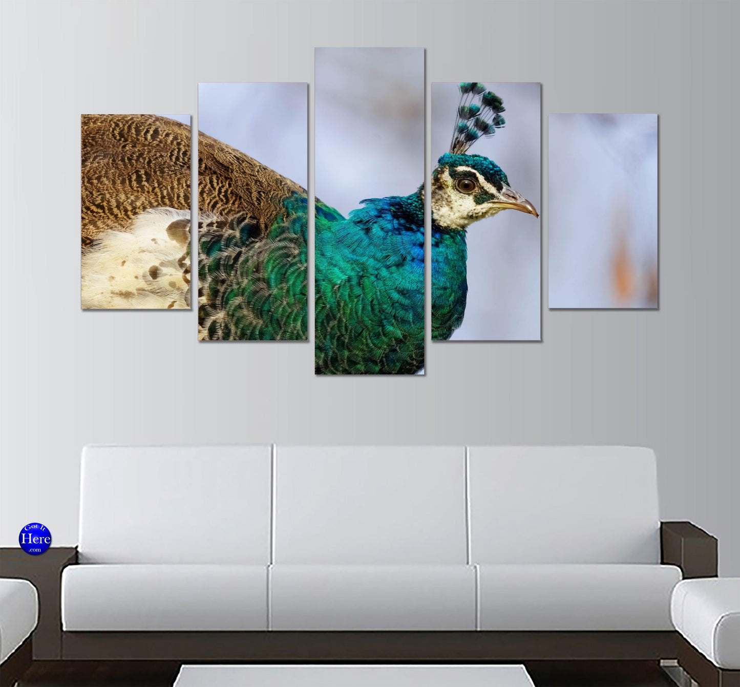 Colorful Peacock In The Wild 5 Panel Canvas Print Wall Art - GotItHere.com