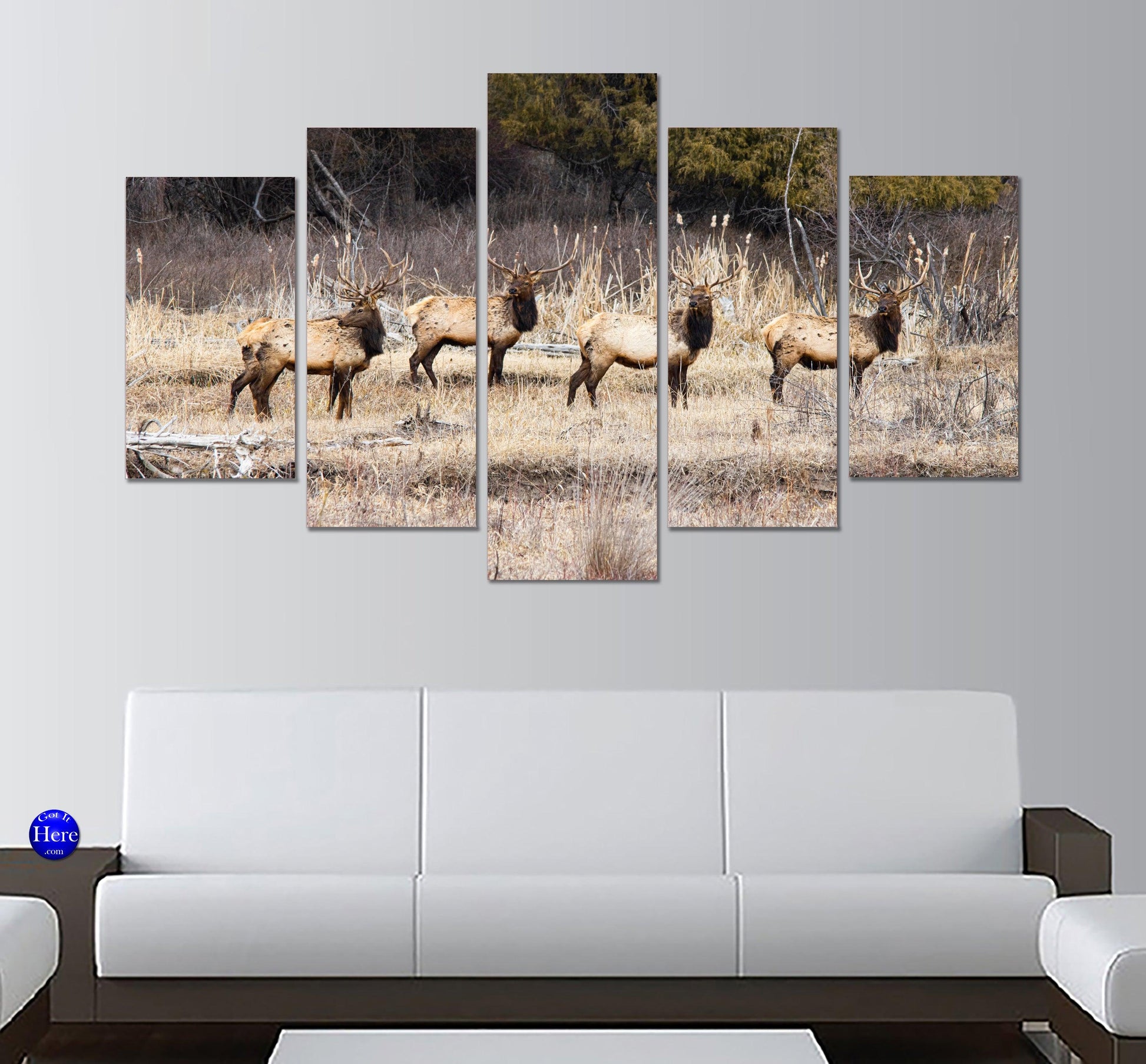 Elk On The Grassland - Charlo Montana 5 Panel Canvas Print Wall Art - GotItHere.com