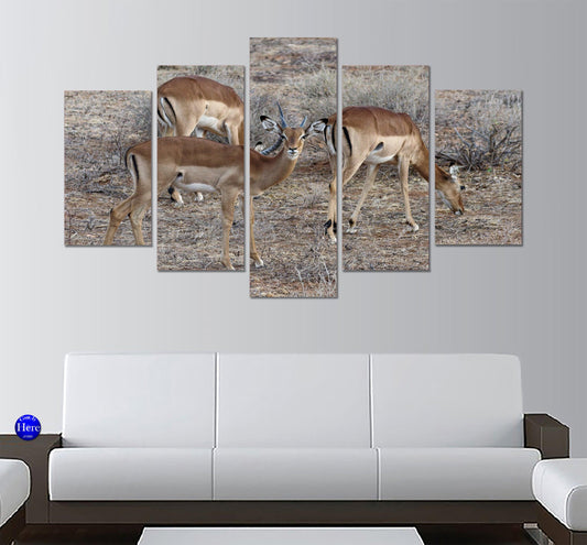 Grant's Gazelles Kenya 5 Panel Canvas Print Wall Art - GotItHere.com