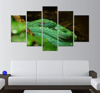Green Palm Viper 5 Panel Canvas Print Wall Art - GotItHere.com