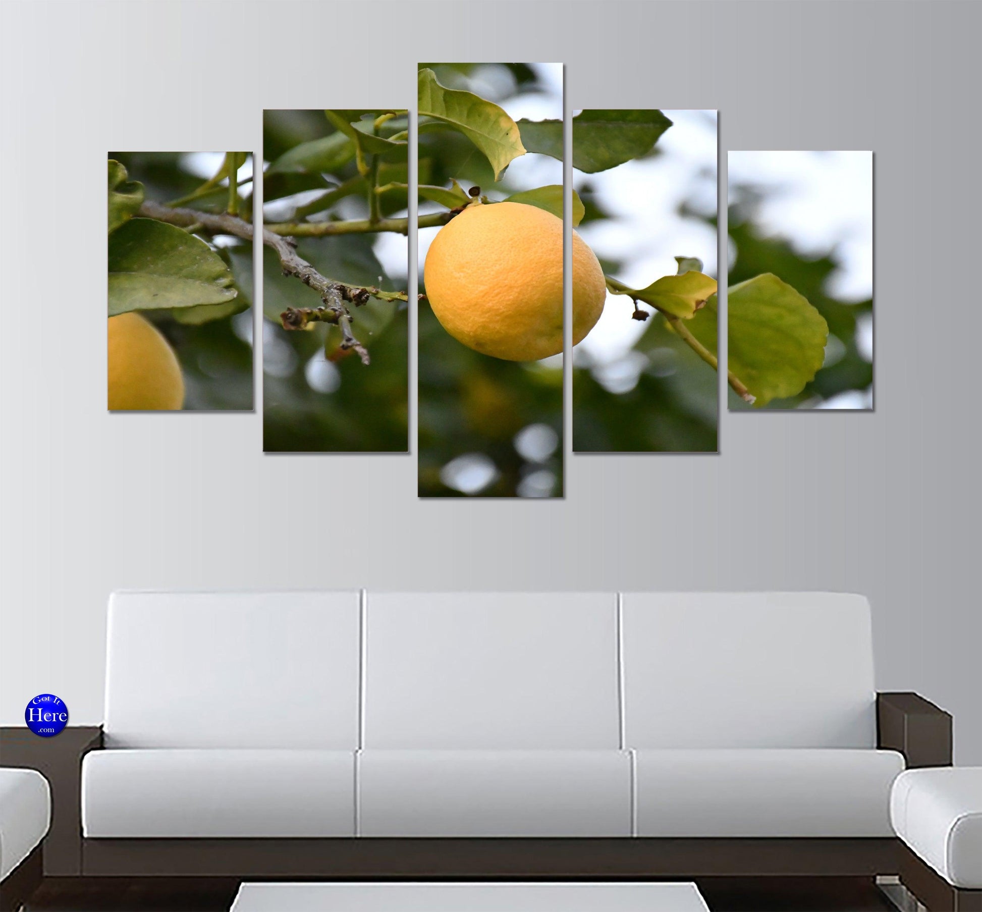Lemon Orchard Fruit On Tree 5 Panel Canvas Print Wall Art - GotItHere.com