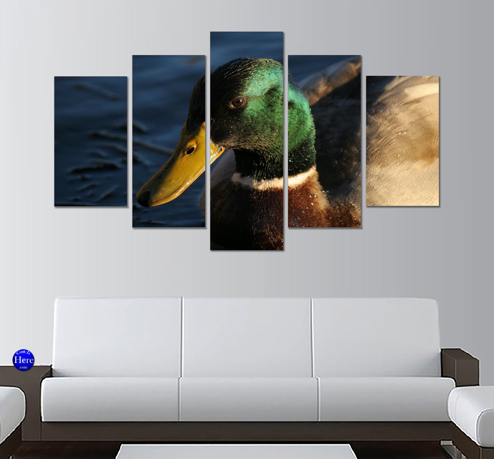 Mallard Duck Drake 5 Panel Canvas Print Wall Art - GotItHere.com