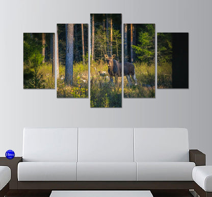 Moose on Green Grass Field 5 Panel Canvas Print Wall Art - GotItHere.com