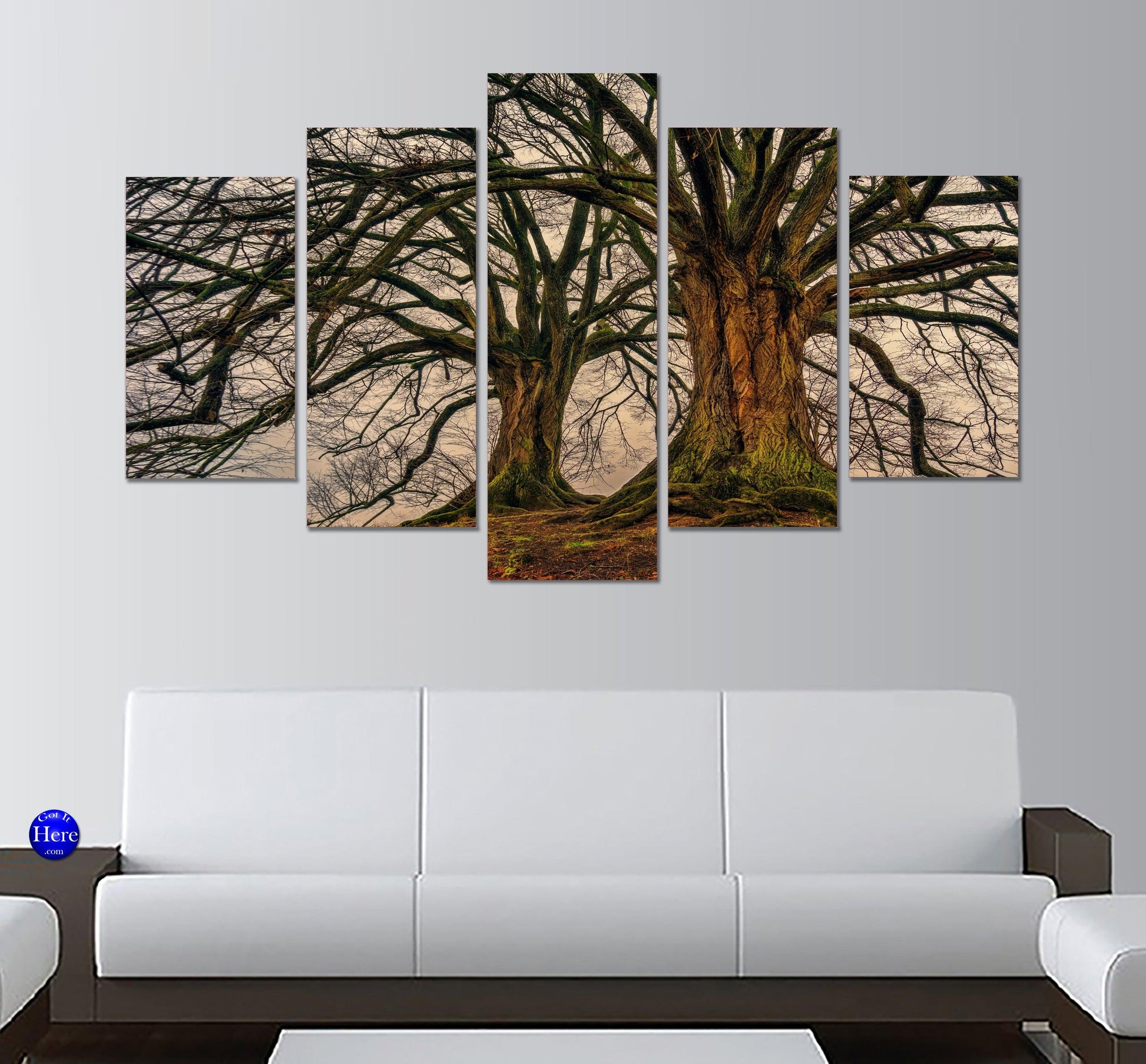 Old Growth Trees In Fall 5 Panel Canvas Print Wall Art - GotItHere.com