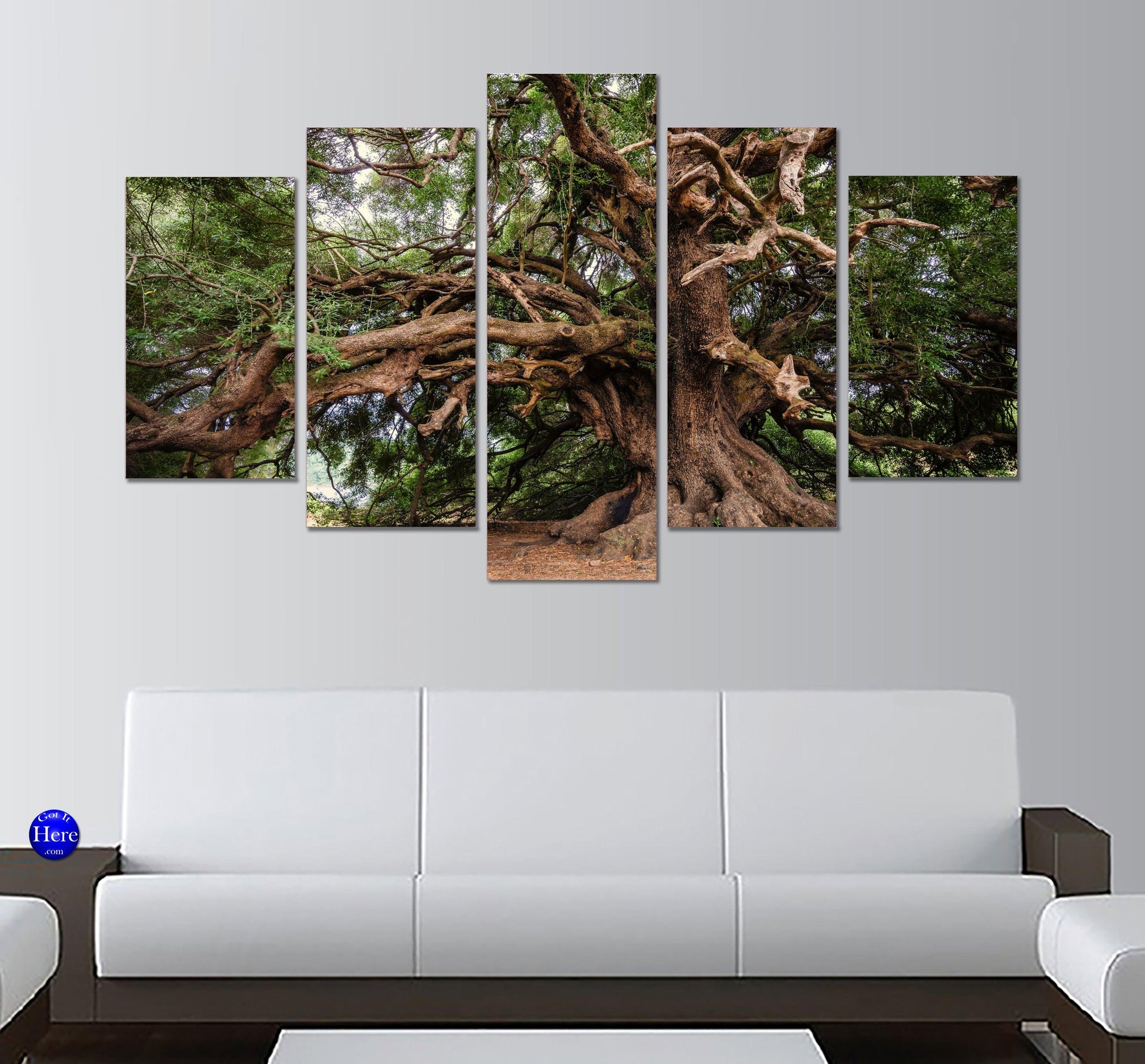 Olive Tree The Great Patriarch Luras Italy 5 Panel Canvas Print Wall Art - GotItHere.com