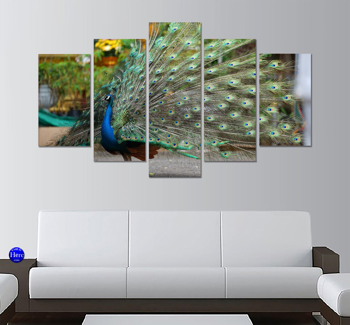Peacock In Full Display 5 Panel Canvas Print Wall Art - GotItHere.com