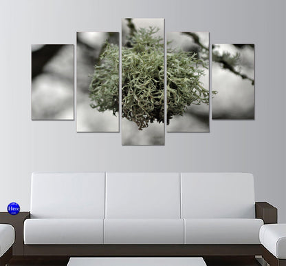 Reindeer Lichen On Tree 5 Panel Canvas Print Wall Art - GotItHere.com