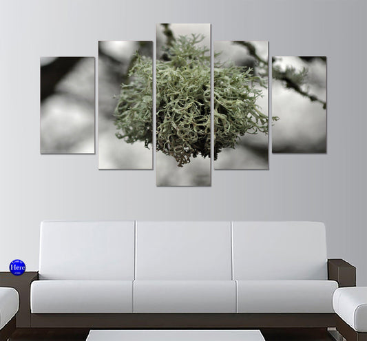 Reindeer Lichen On Tree 5 Panel Canvas Print Wall Art - GotItHere.com