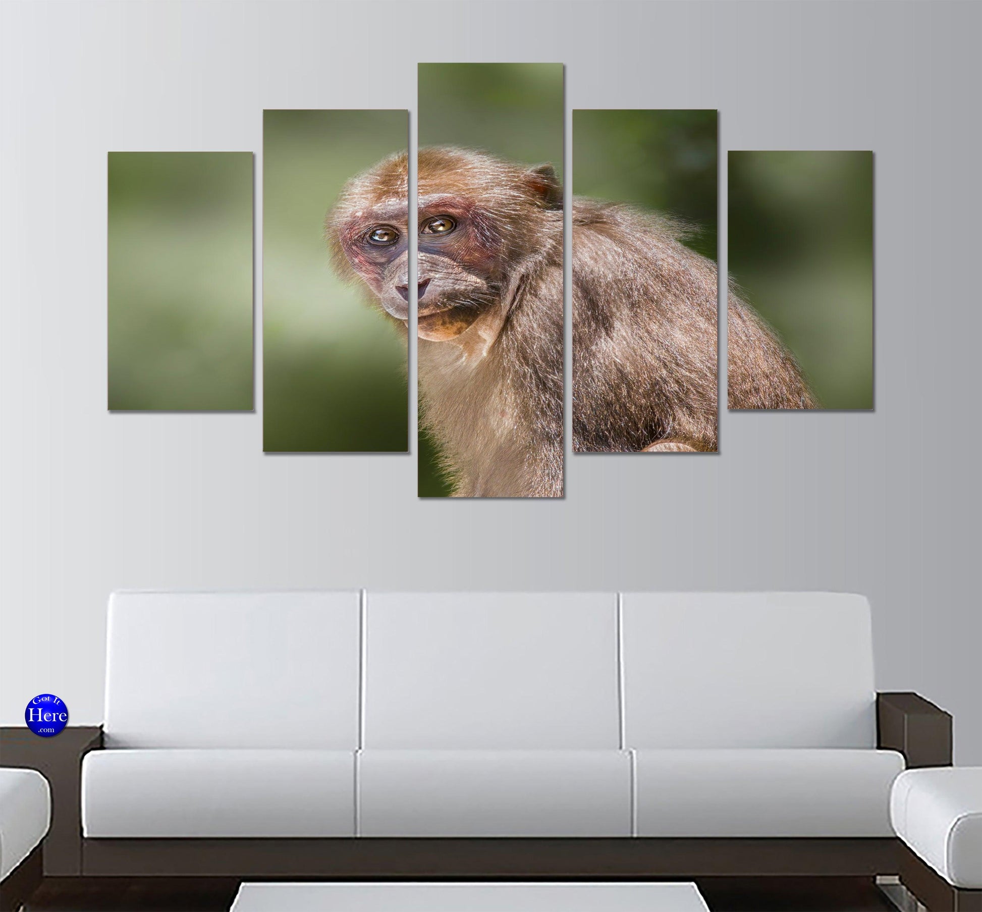 Stump Tailed Macaque 5 Panel Canvas Print Wall Art - GotItHere.com