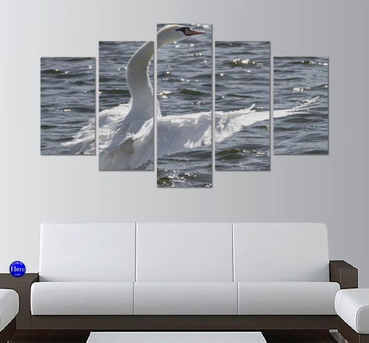 Swan On Small Lake 5 Panel Canvas Print Wall Art - GotItHere.com