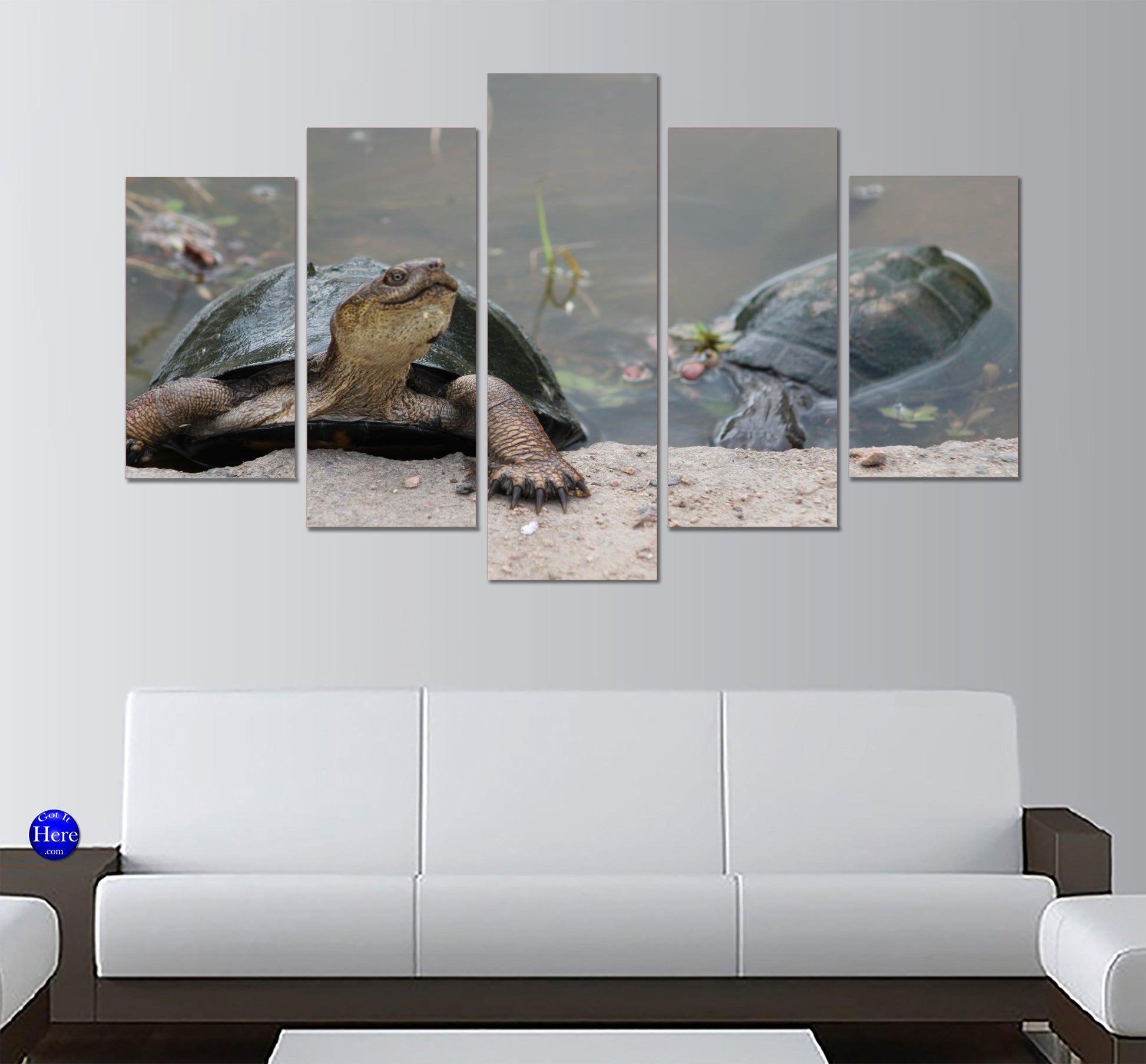 Terrapins In A Pond 5 Panel Canvas Print Wall Art - GotItHere.com