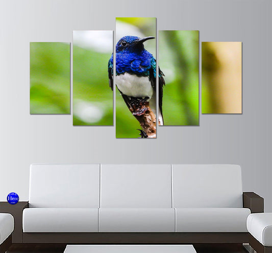 White-necked Jacobin Hummingbird 5 Panel Canvas Print Wall Art - GotItHere.com
