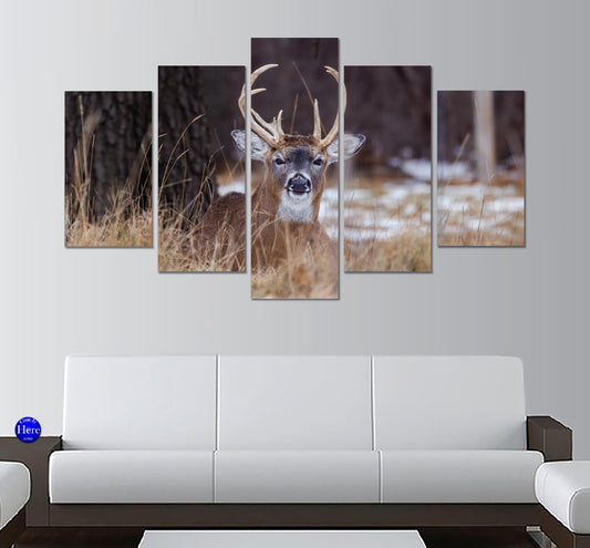 White Tailed Deer Sitting on Grass 5 Panel Canvas Print Wall Art - GotItHere.com