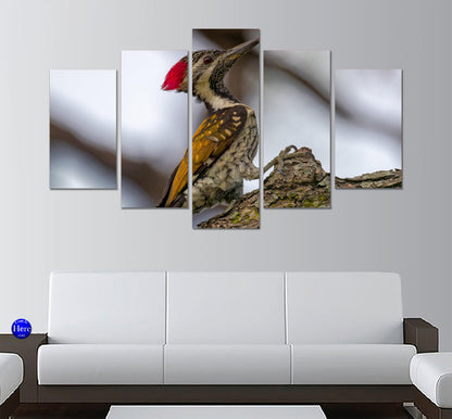 Woodpecker 5 Panel Canvas Print Wall Art - GotItHere.com
